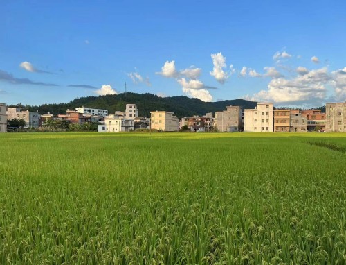 意甲直播_意甲横竖屏自由切换高清直播_意甲直播省流加速